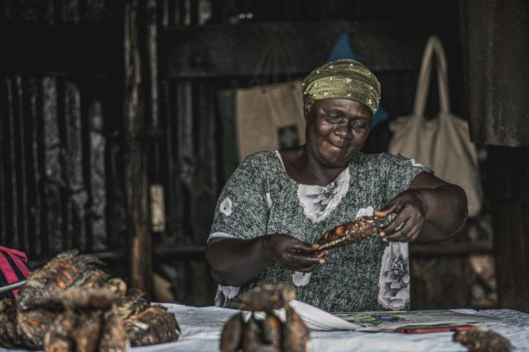 The MSMEs Blueprint: 5 Proven Pillars for Business Success.