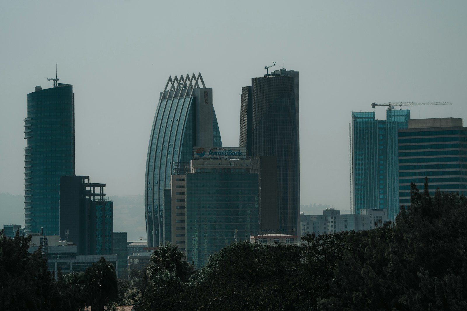 Modern skyscrapers rise above city trees on a hazy day.
