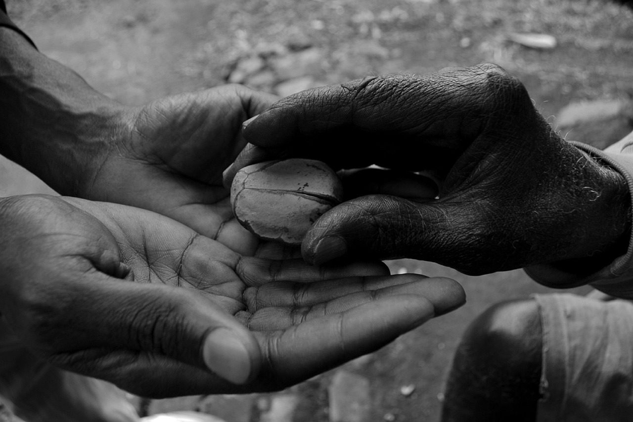 kola nut, offering, african, hands, kola nut, offering, offering, offering, offering, offering